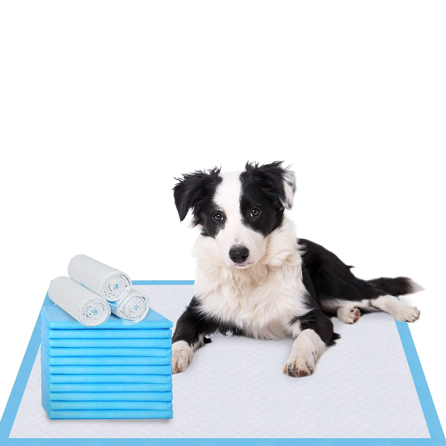 Dog pads puppy training toilet disposable dog and puppy pads leak-proof 5-layer potty dog pee pad pet training mats 1 buyer