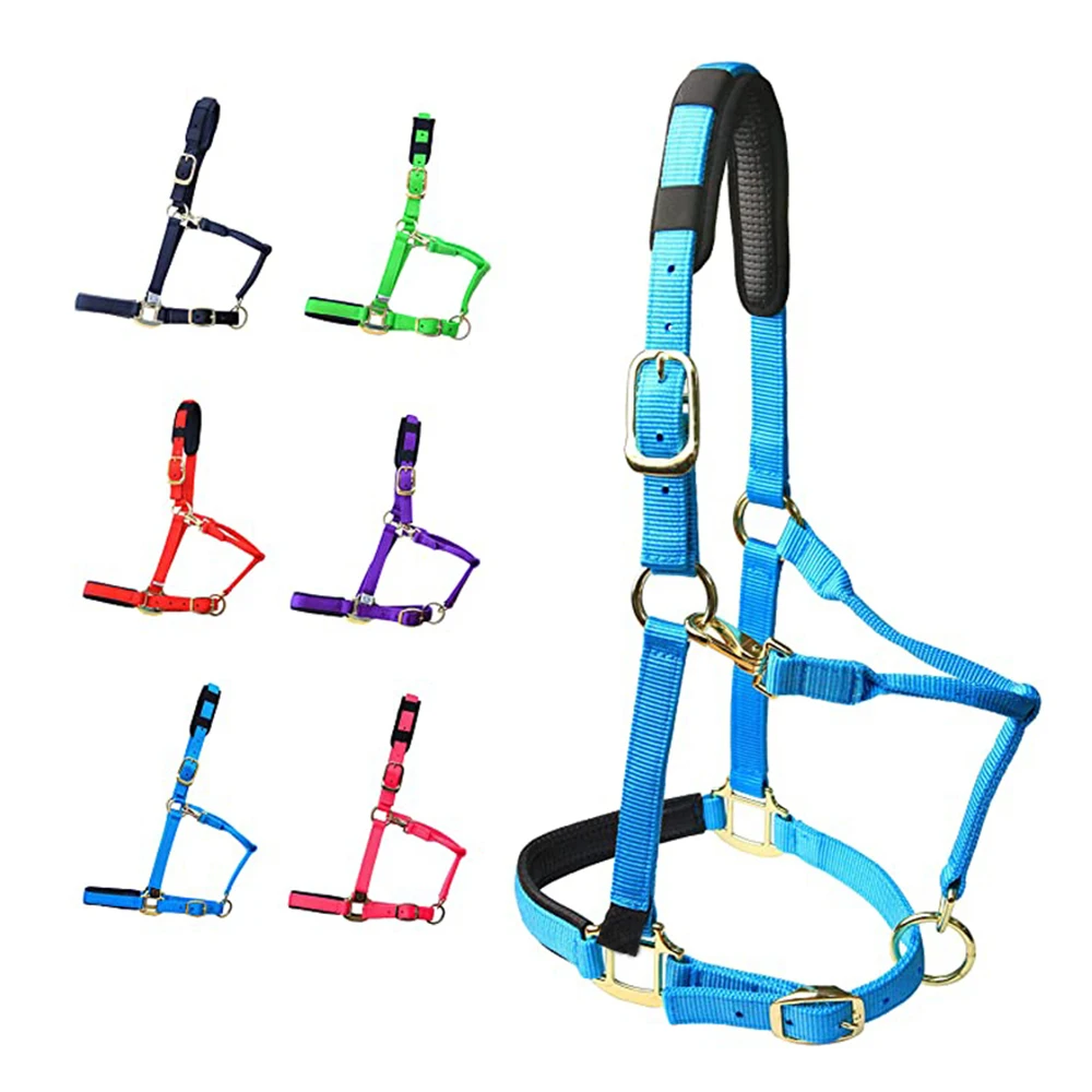 Новейший стиль верёвка для верховой езды высокое качество горячая цена кожаная на продажу