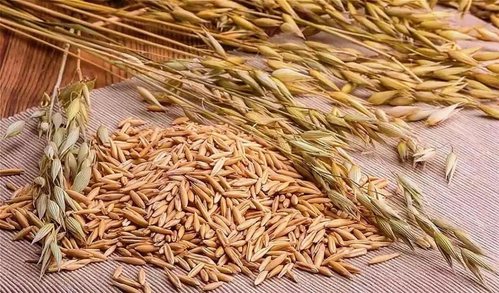 Органическая Пшеница высшего качества