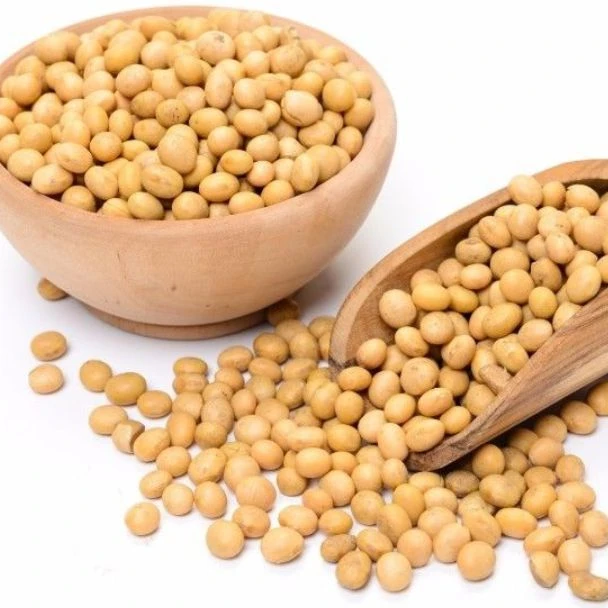 
Soybean/Soya Bean, Soybean Seeds, Soya Bean Seeds for sale 