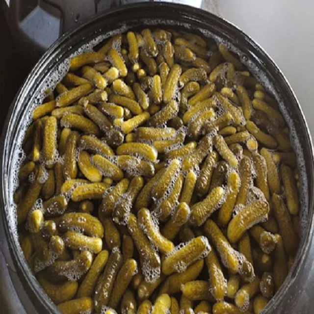 Indian Pickled Gherkins in Barrels/Buckets/Pails 15 Kgs