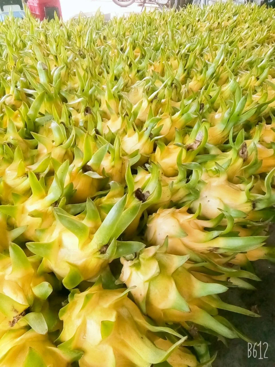 Yellow Skin Dragon Fruit Good Price Low MOQ Best Quality Brand Wholesaler From Vietnam Hot Selling Export Top Grade 2021