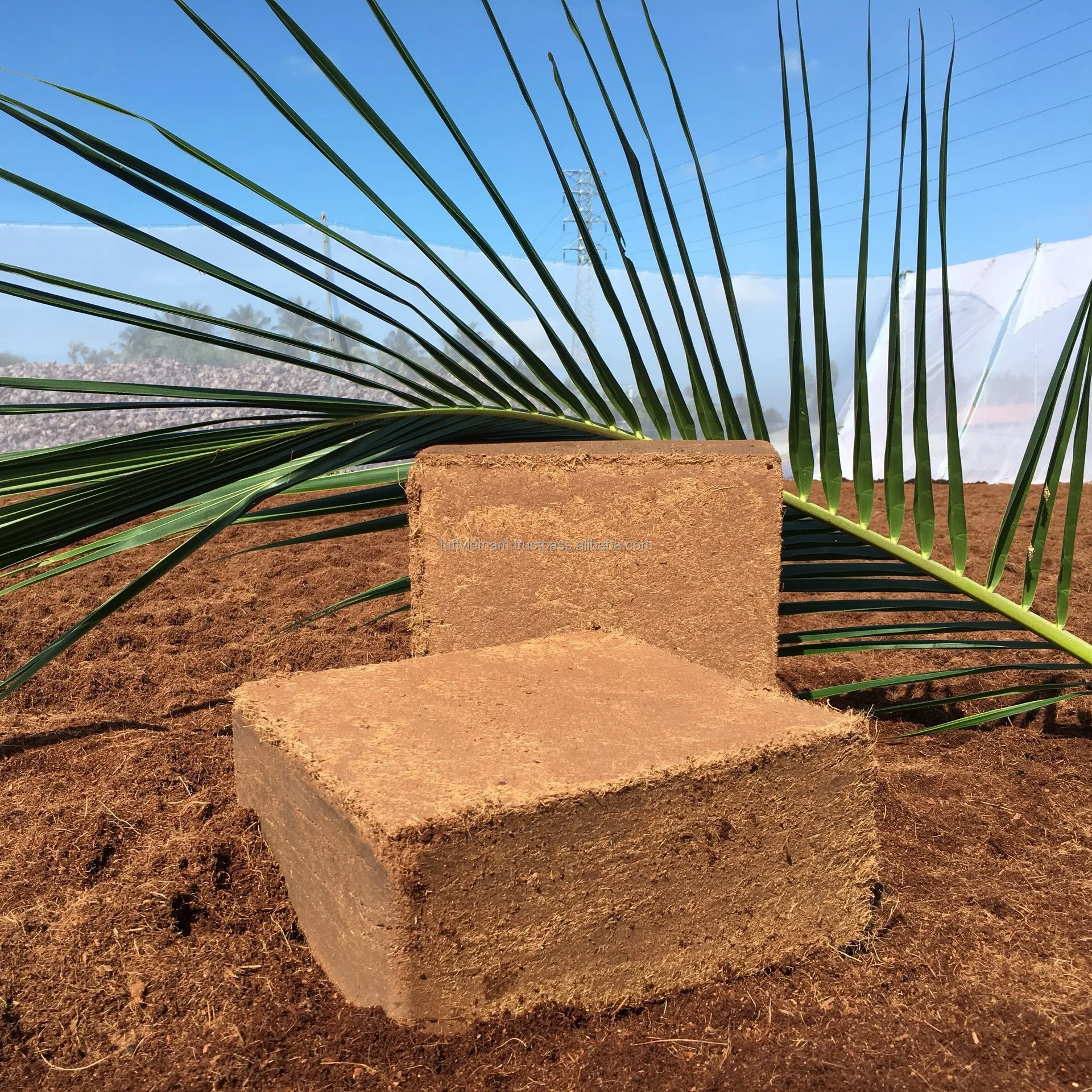 Экологически чистый кокосовый торф для выращивания растений Cocopeat 5 кг сжатые блоки 100% органические во