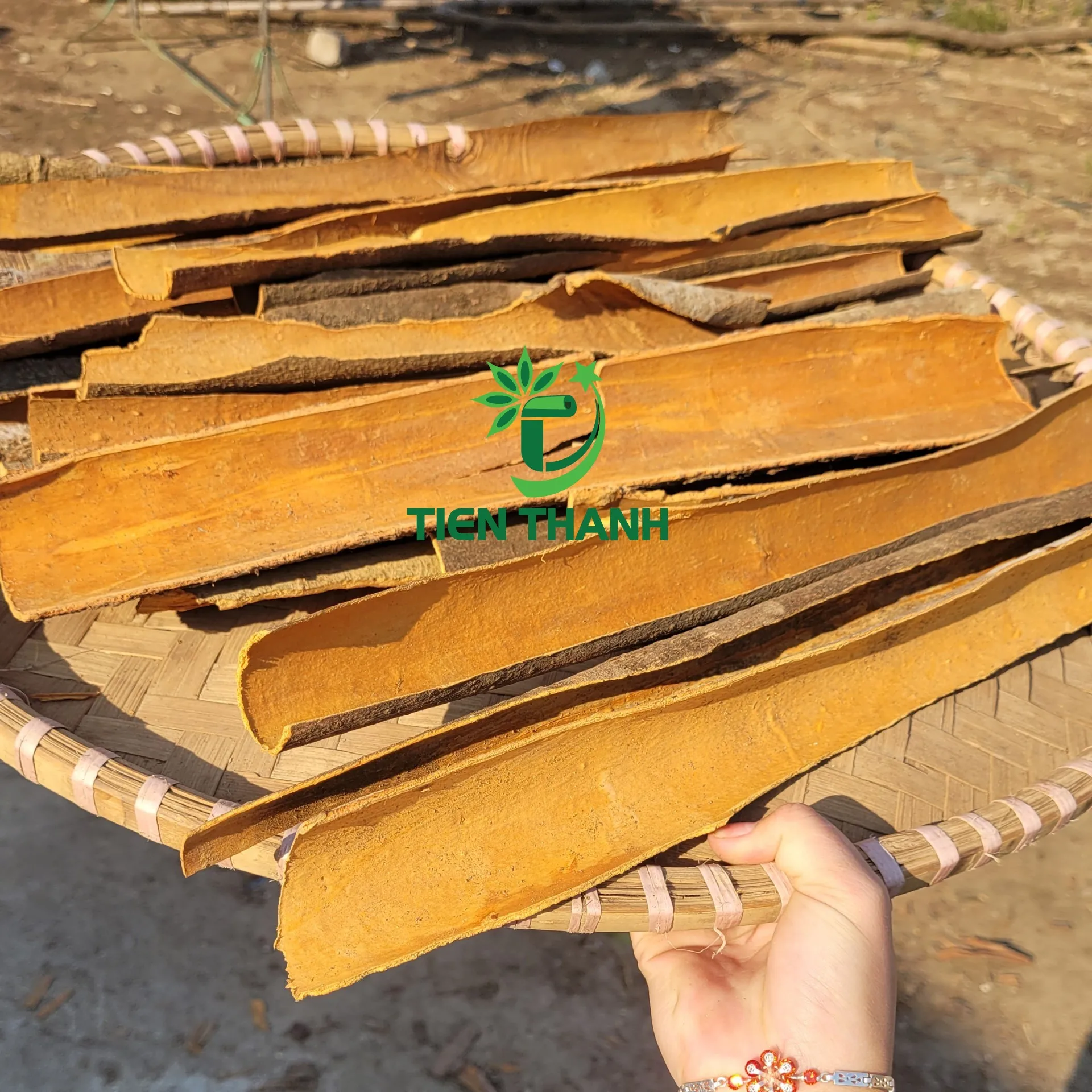 Cinnamon Price/ Split Cinnamon Cassia/ Cinnamomum Aromaticum New Crop 2022