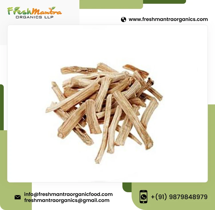 100% Natural Shatavari Powder Extract Shatavari Root Powder For Stronger Immune System Supplier