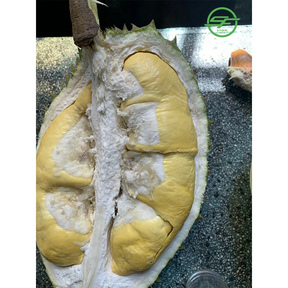 Хит продаж: вкусный дуриан вьетнамский Премиум (Whatsapp/zalo/wechat: + 84 912 964 858)