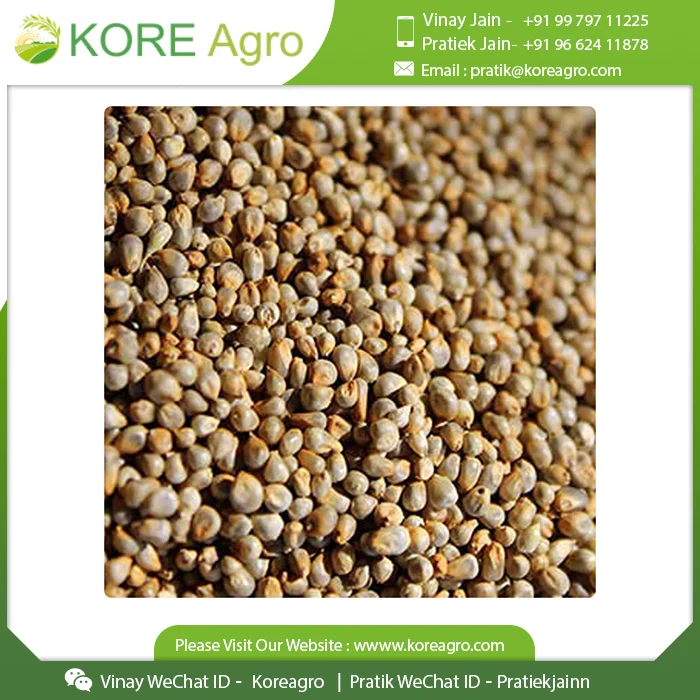  Покупка высококачественных органических семян пса без глютена Превосходное качество для похудения покупайте по низкой цене