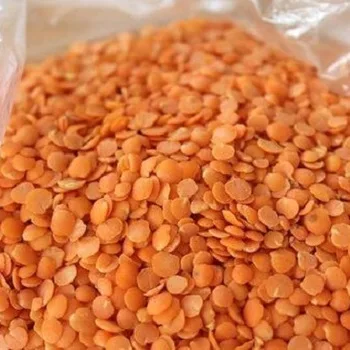 
BEST QUALITY GREEN AND RED LENTILS , LOW PRICE 