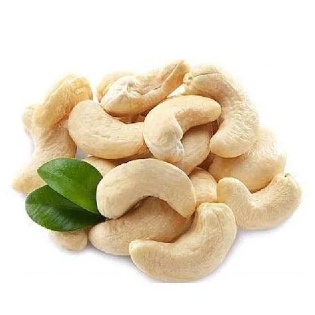 Organic Cashew Nuts W320 WHOLESALE HIGH QUALITY INDIAN EXPORTERS BULK FRESH BEST PRICE