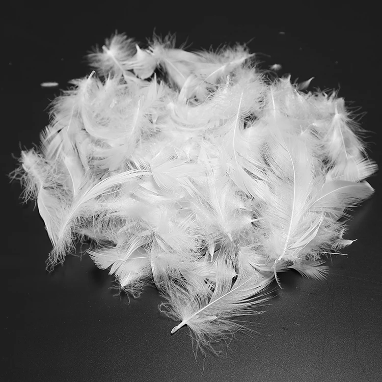 Best quality Vietnam  whole sale washed white duck/ goose down feather price  2 - 8 cm