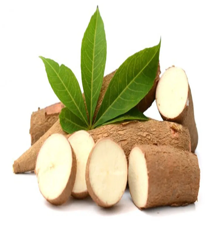 
TOP GRADE INDONESIA CASSAVA FRESH AND ORGANIC FROM ROOT FOR QUALITY EXPORT 