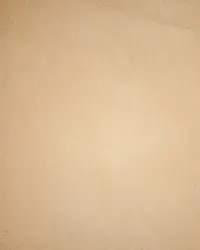 Leather Tooled and Sunflower Design Dog Collar Leather Dog Collar Available In Affordable Price