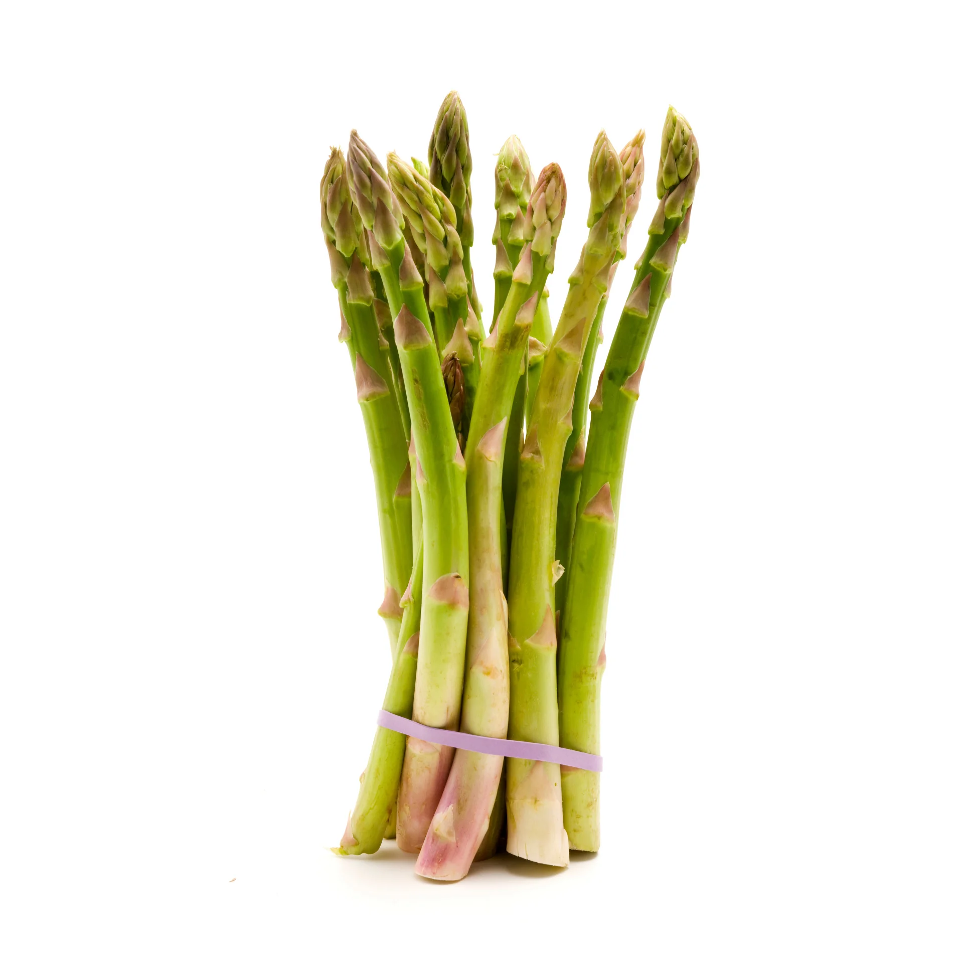 Asparagus - High fresh quality