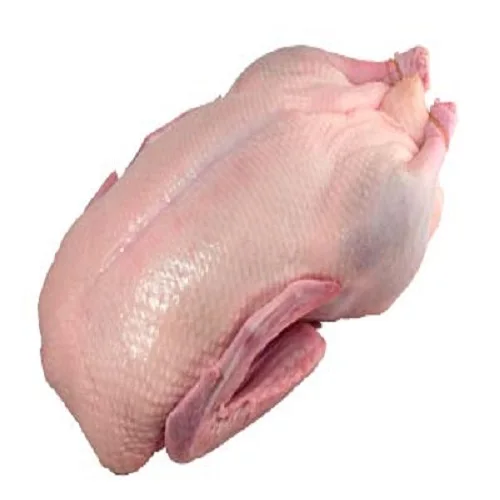 Buy Quality Premium Grade Halal Frozen Duck Breast
