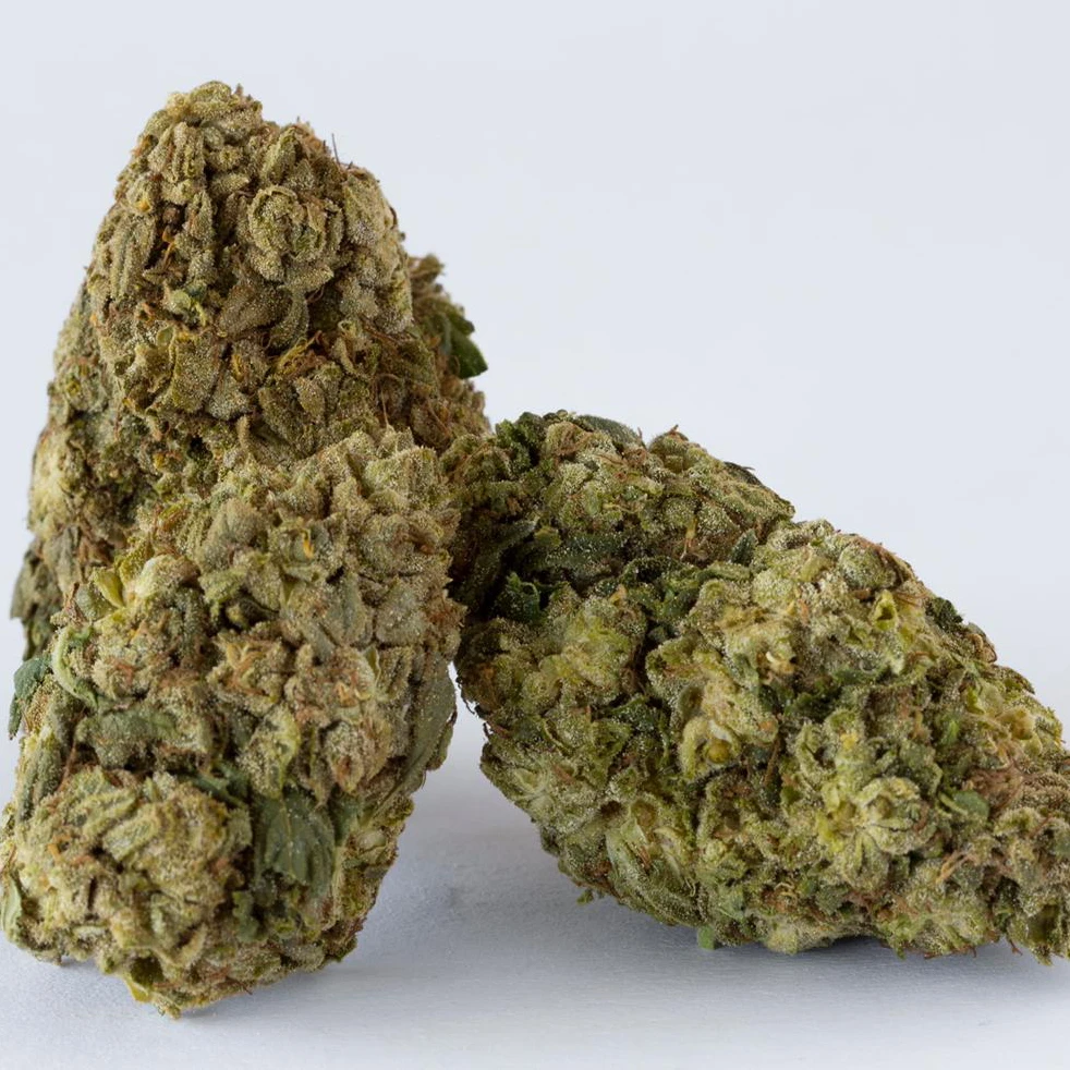 
CBG Green Dream 