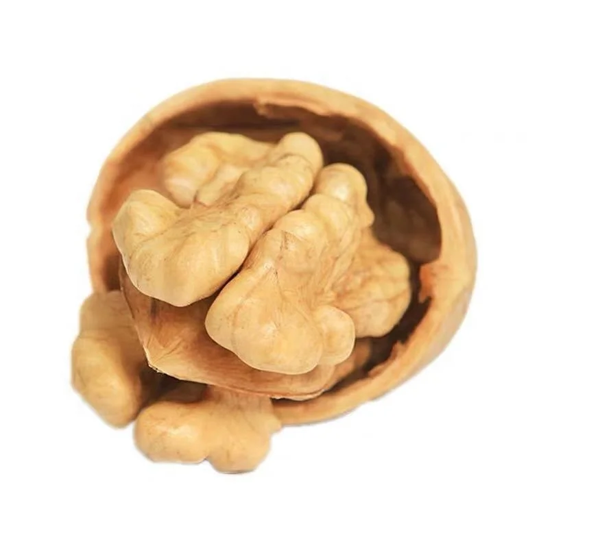 Best Price Common Walnut Nuts Top Class Walnut Kernels Dried Style Raw Walnut