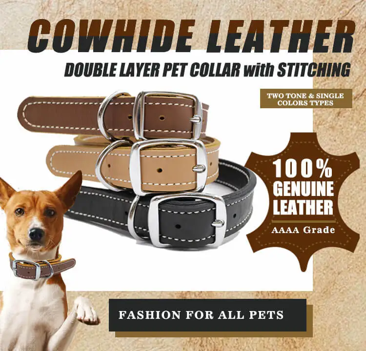 double layer dog collar 