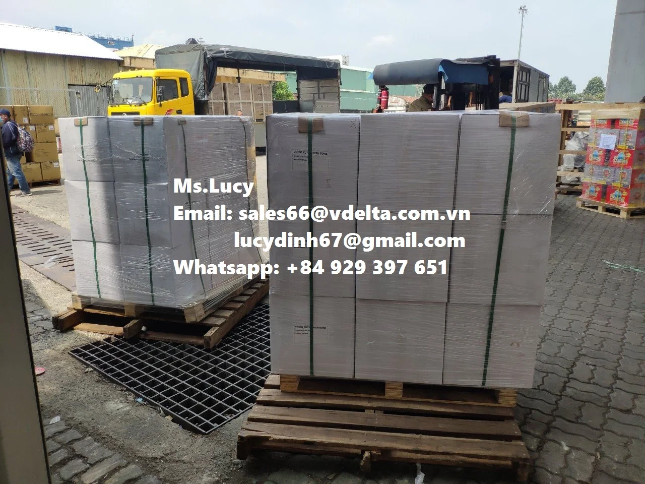 Натуральная косточка Для корма для животных с высокими питательными веществами из Вьетнама по лучшей цене Ms. Люси + 84 929 397 651