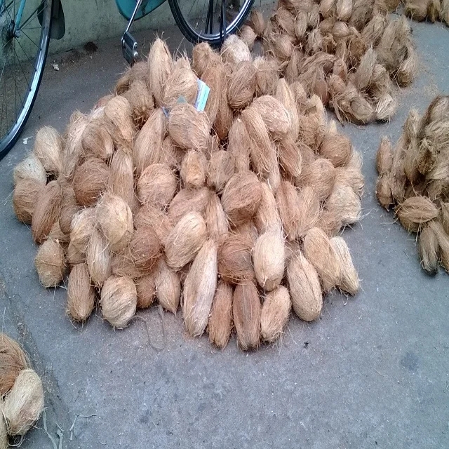 Выдержанный полу очищены кокоса