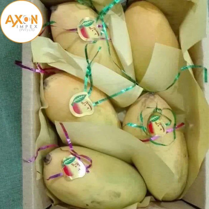 Special Fresh Chaunsa Mangoes From Pakistan