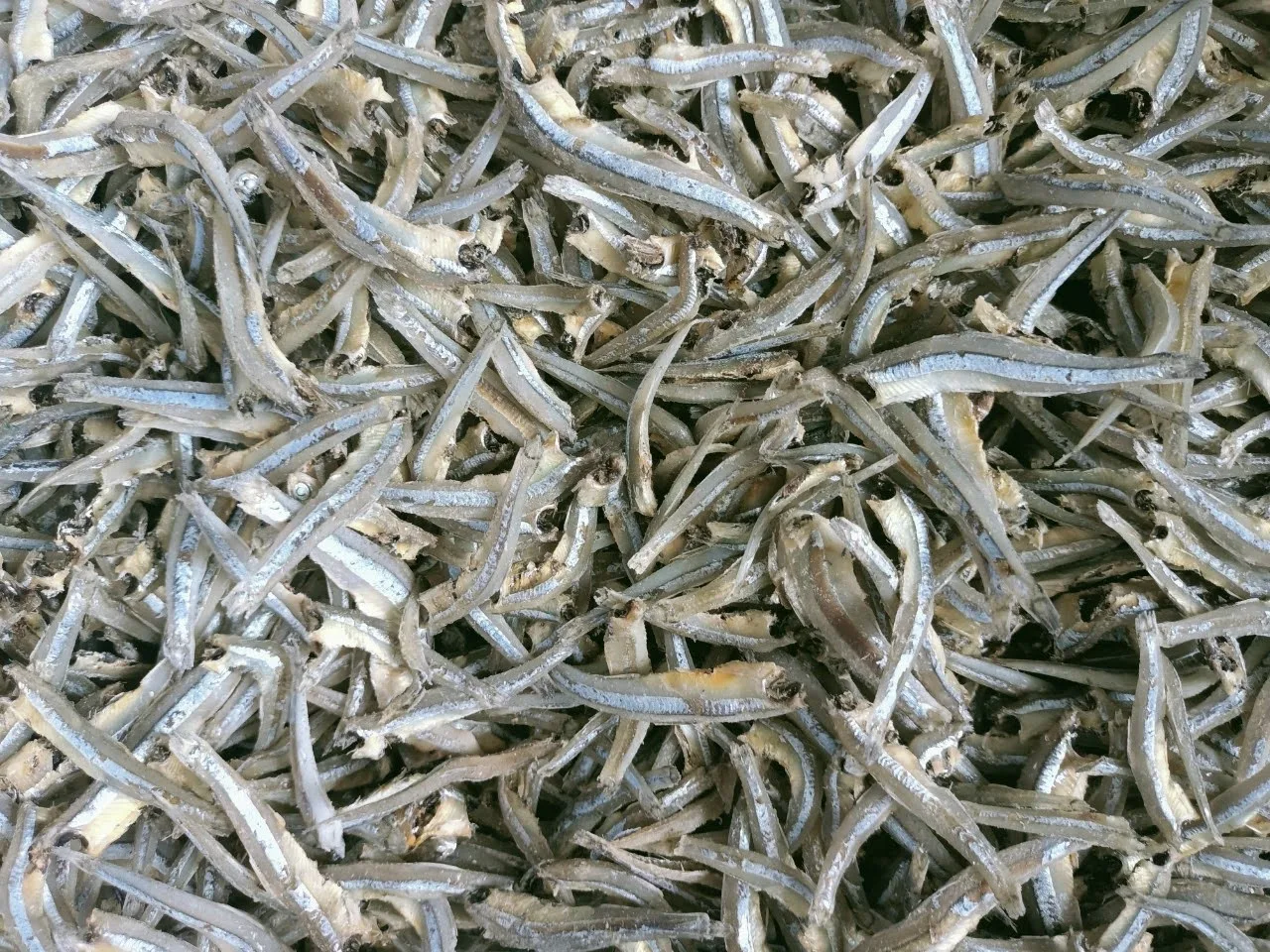 Vietnam dried anchovy with best quality seafood direct good price-  WHATSAP: 0084 989 322 607