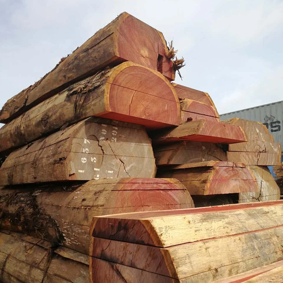 European Beech Log and Lumbers for sale