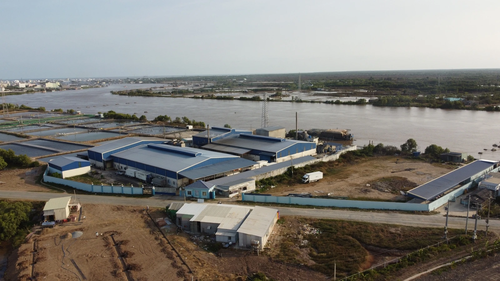 Best Selling Wholesale Frozen Fresh Mud Fish Whole Cleaned Head Channa striata made in Vietnam High Quality Frezze