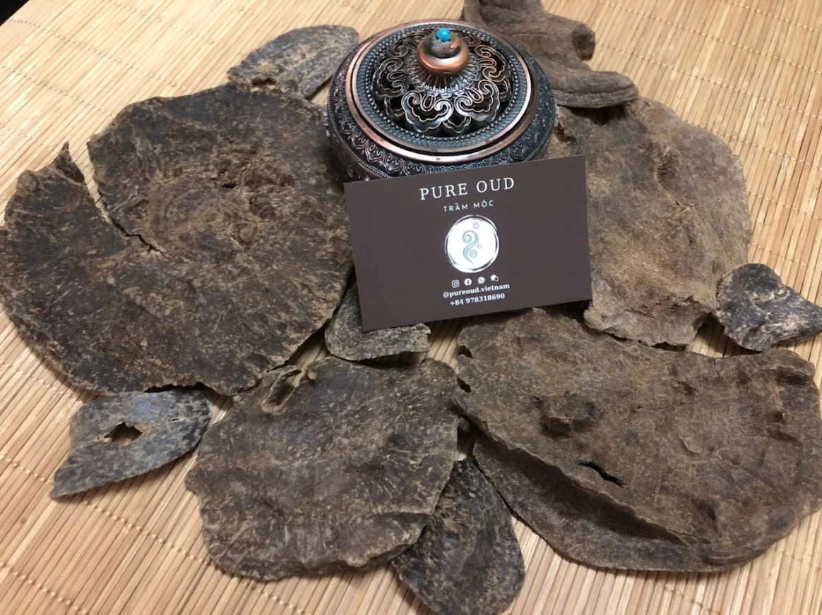 JUNGLE PURE OUD TRIPLE S QUALITY JAR FROM KHANH HOA - STRONG SWEET SMELL - HIGH QUALITY PRODUCT