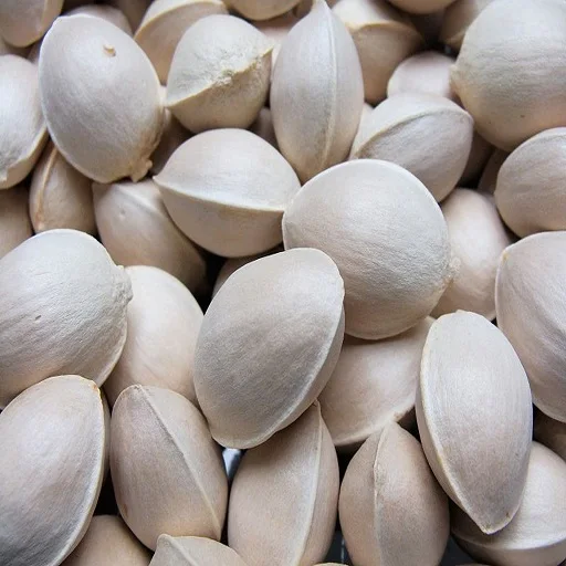 Premium Quality Ginkgo Nuts Ready For Export