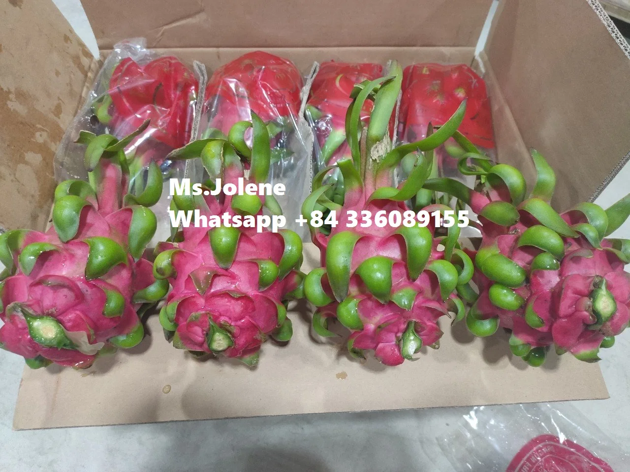Вьетнамский фрукт дракона по более низкой цене и высокого качества/Jolene + 84 336089155