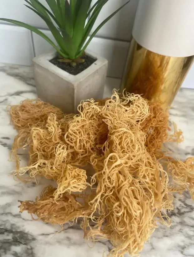 Дикий ирландский мох ручной работы/Высококачественный из Вьетнама-Кэти +